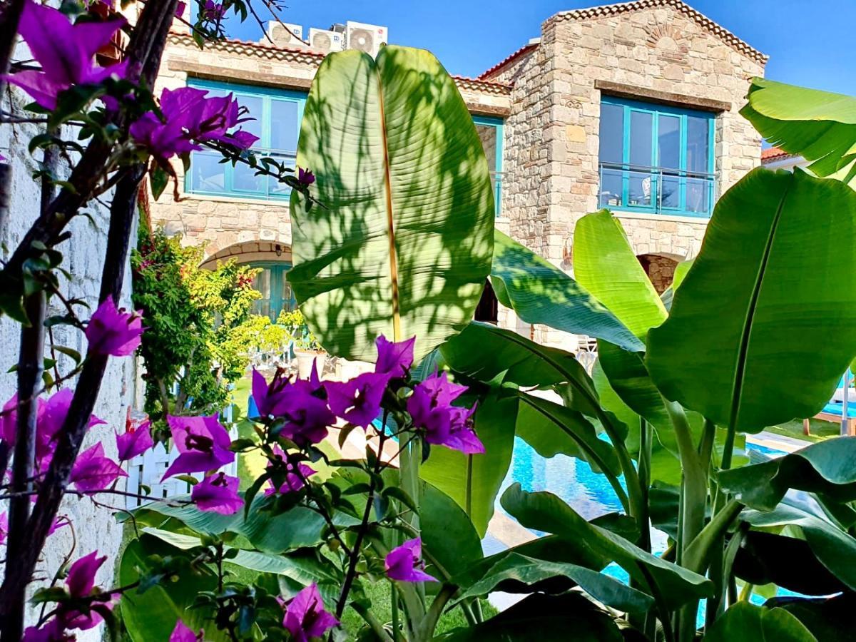 Windmill Alaçatı Buitenkant foto